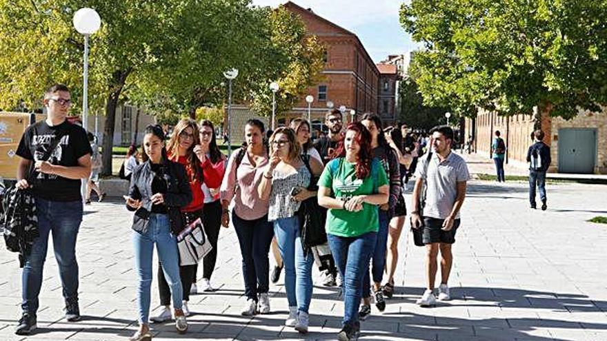 Estudiantes del Campus Viriato.