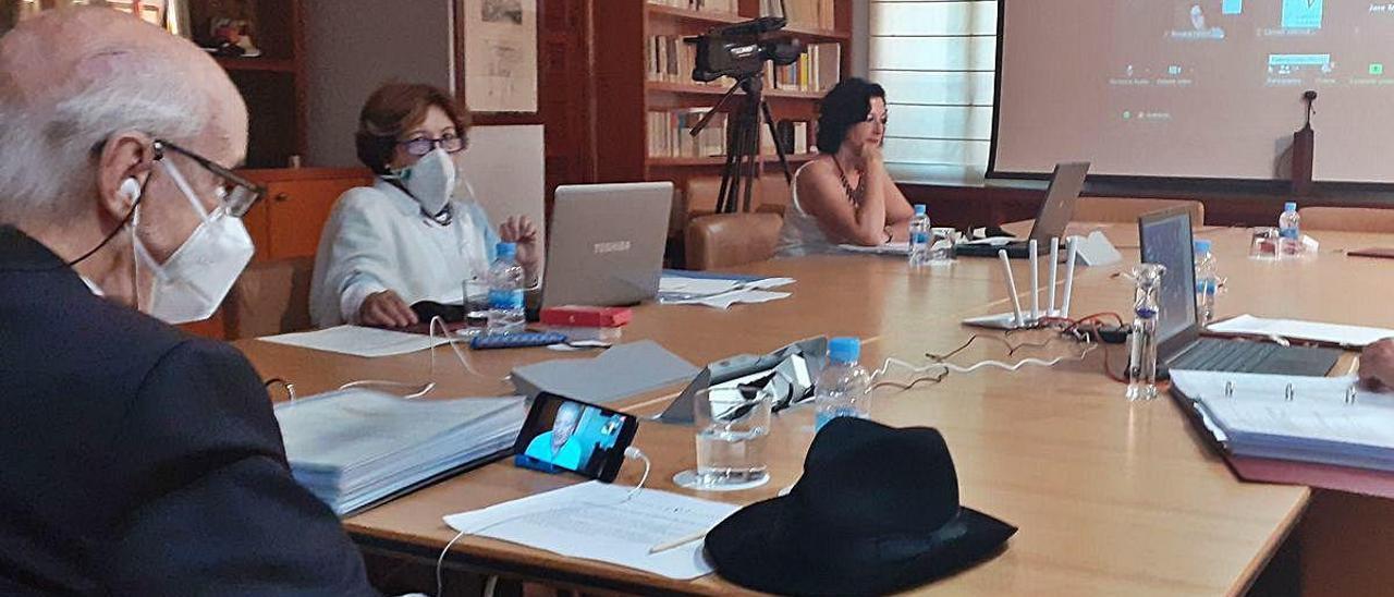 Santiago Grisolía, con alguno de los consejeros del CVC, durante el pleno telemático celebrado ayer.