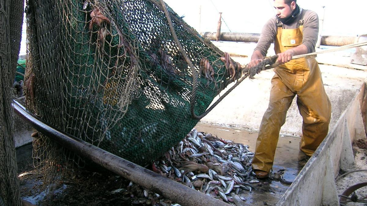 Durante la pesca de fondo suelen capturarse especies no deseadas