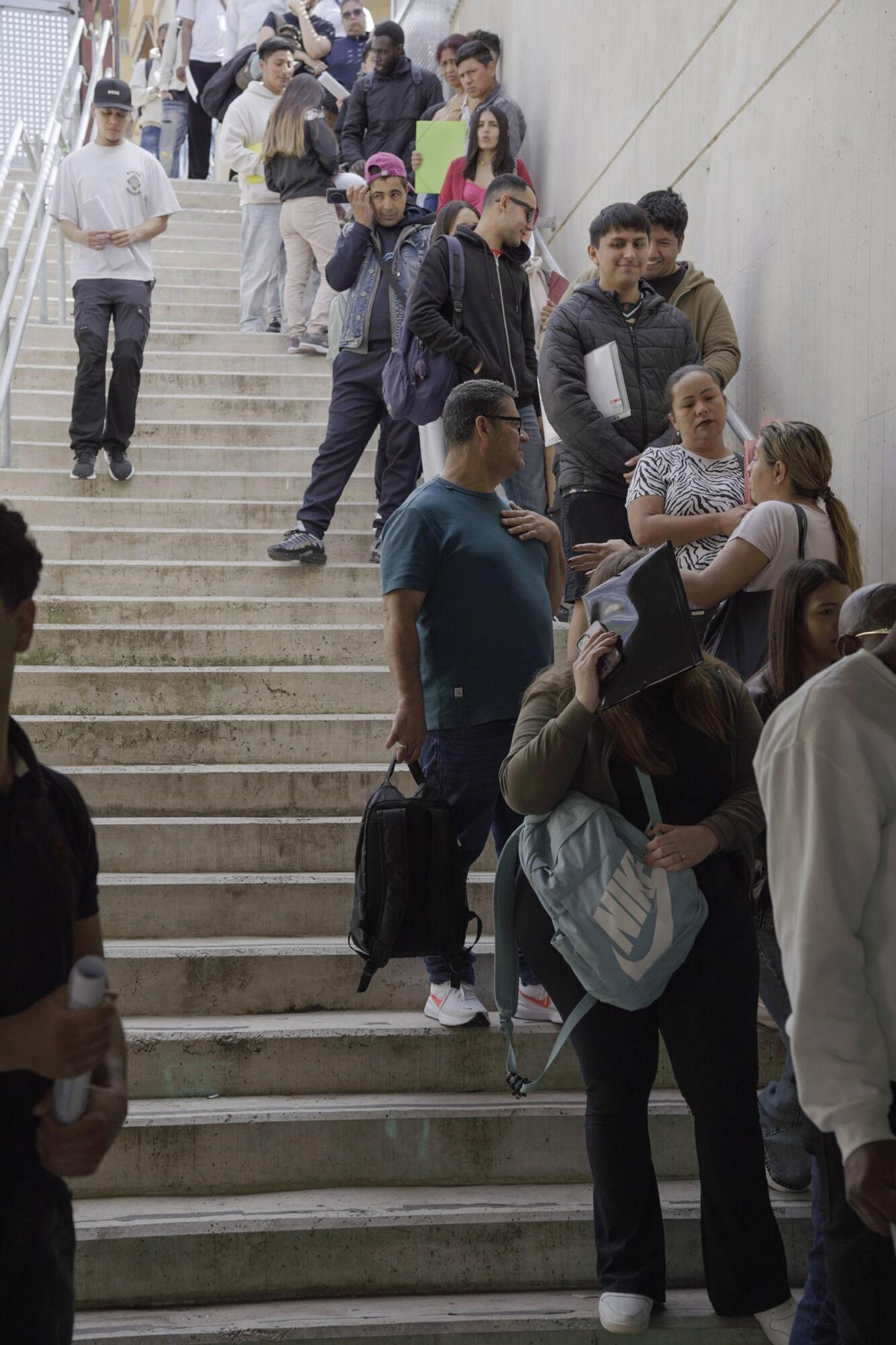 Largas colas en Palma para obtener el informe de vulnerabilidad Largas colas en Palma para obtener el informe de vulnerabilidad