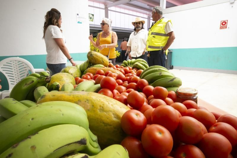 26.05.18. Bañaderos, Arucas. Feria de Ganado Selecto de Gran Canaria. Granja del Cabildo de GC..  Foto Quique Curbelo  | 27/05/2018 | Fotógrafo: Quique Curbelo