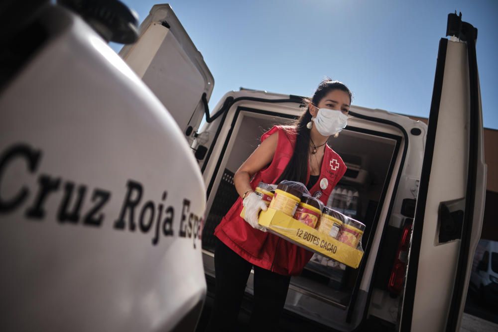 Proyecto Promoción de Éxito Escolar de Cruz Roja