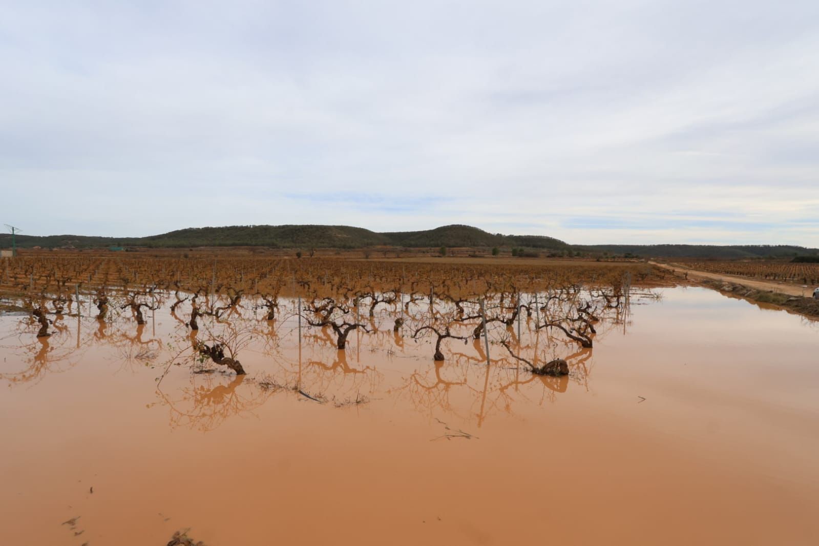 Las consecuencias del temporal de granizo que azotó ayer Requena