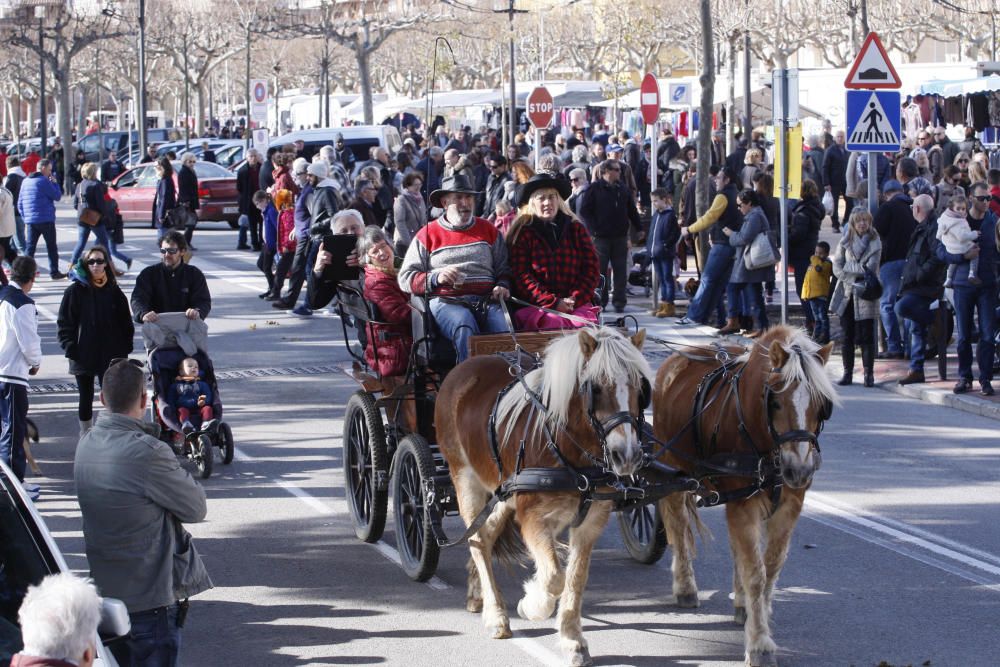 Festa de Sant Antoni Abat a Sant Feliu de Guíxols