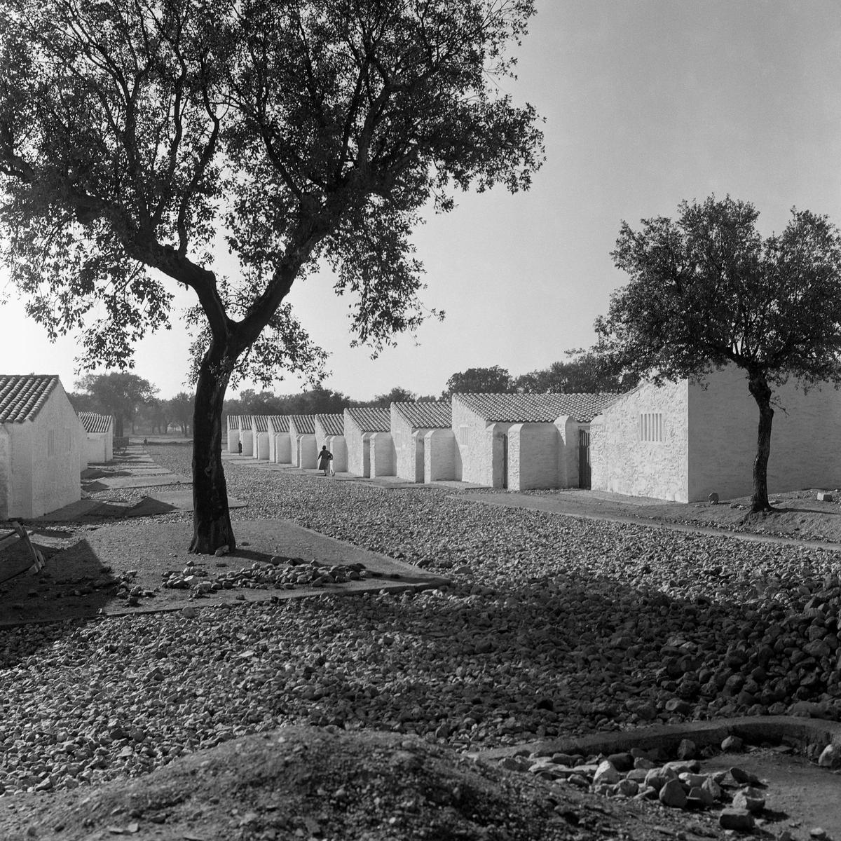 Vegaviana (Cáceres), ca. 1958. Fotografía de Joaquín del Palacio, Kindel.