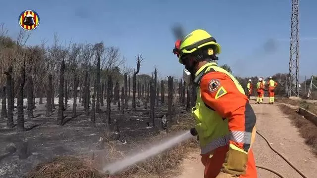Bomberos y 4 medios aéreos intentan controlar un incendio en el barranco del Carraixet, en València