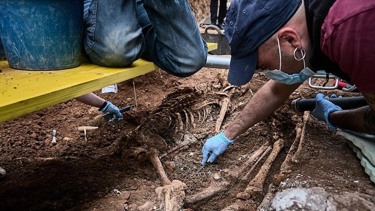 Un arqueólogo trabaja sobre el esqueleto de uno de los fusilados en el cementerio municipal de Gandia.