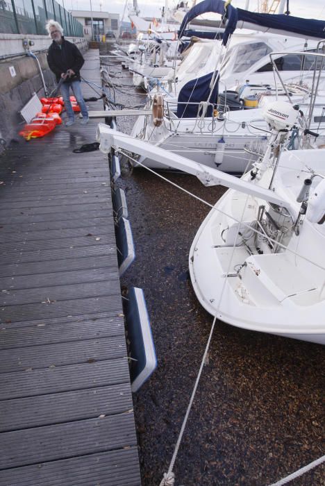 Tasques per retirar la biomassa al port de Palamós