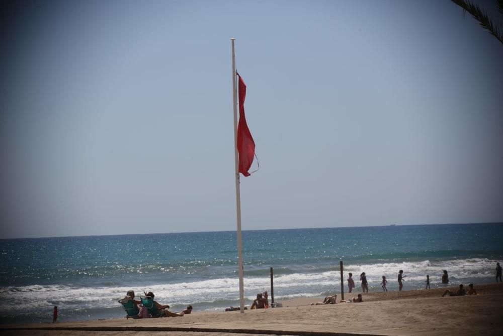 Los arenales de la capital están abiertos al baño desde hoy, sin franjas horarias y con menos medidas de seguridad de las anunciadas por el Ayuntamiento.