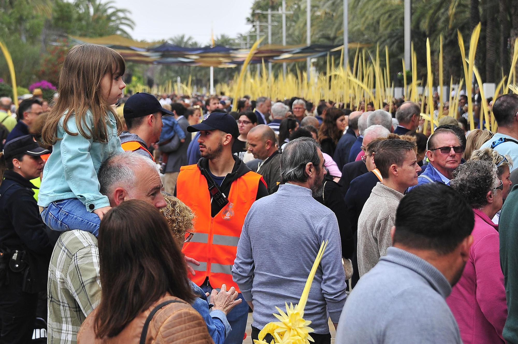 Miles de palmas blancas llenan Elche de tradición