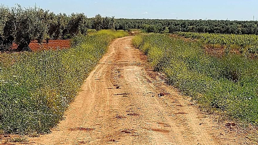 Los labradores critican que no se aumenten los fondos para el arreglo de los caminos