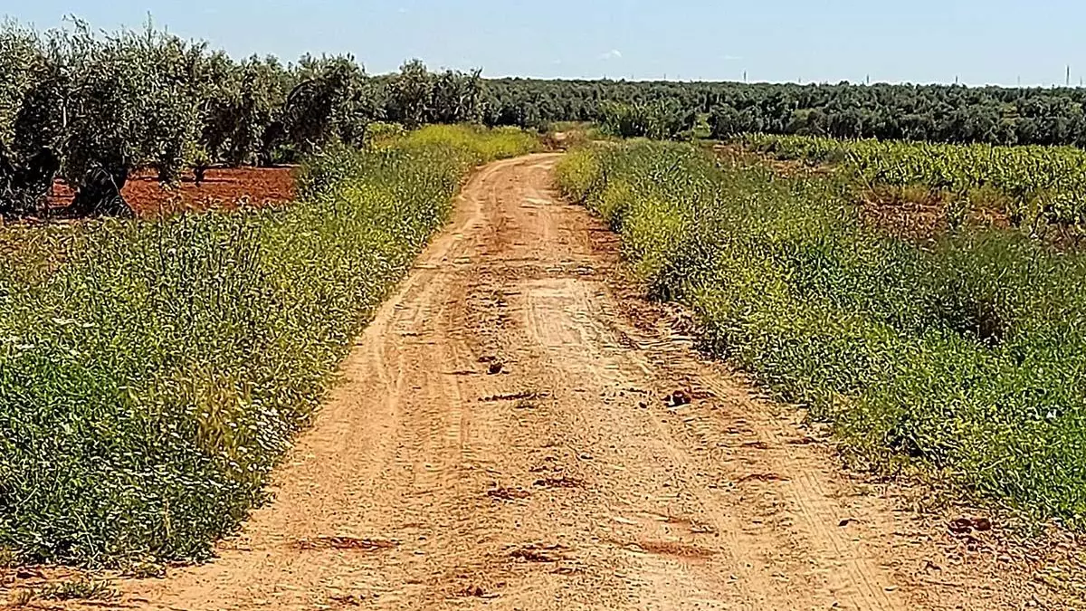 Los labradores critican que no se aumenten los fondos para el arreglo de los caminos
