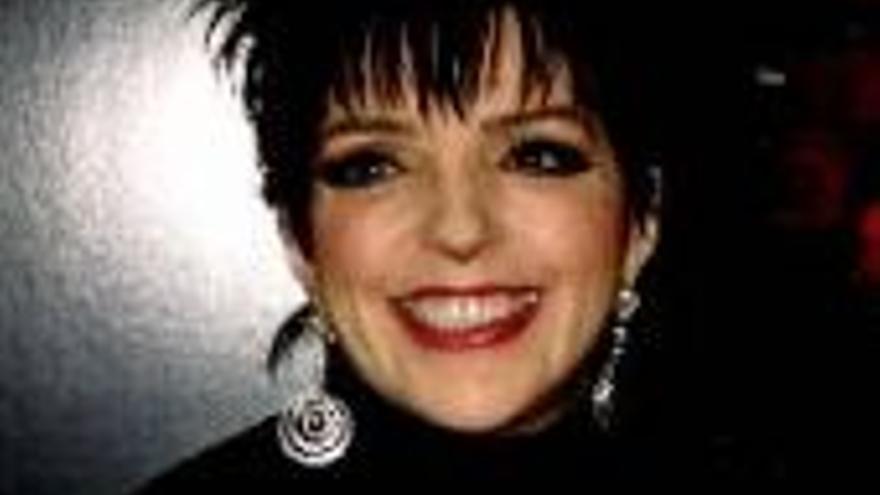 Liza Minelli pide el divorcio tras ser demandada