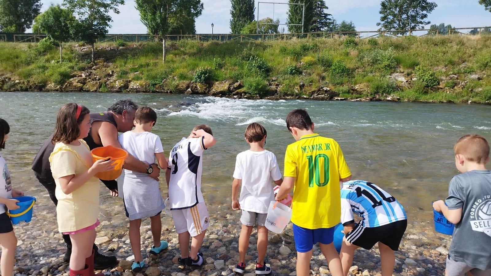 Los escolares de Arriondas repueblan el Sella con 5.000 alevines de trucha