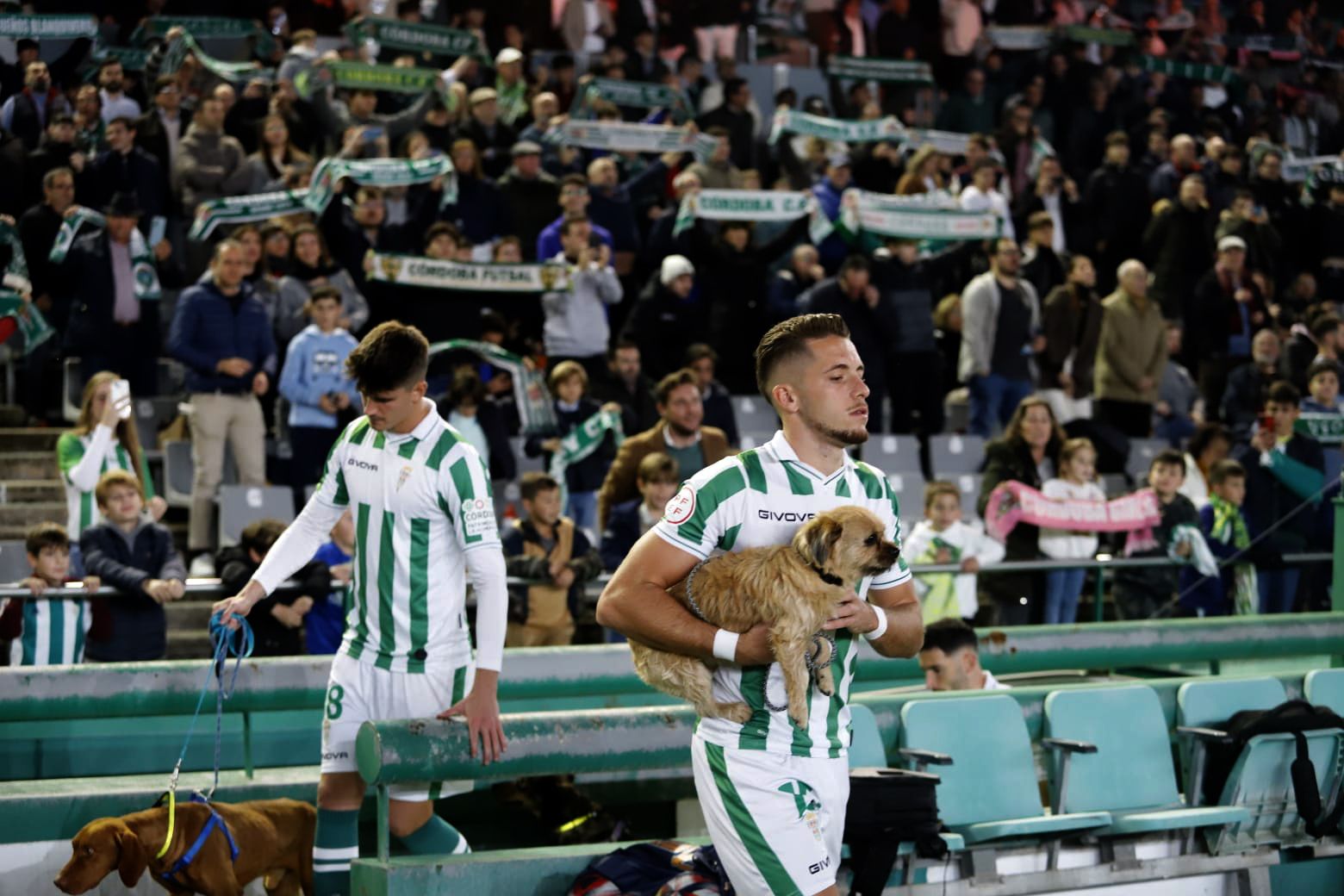 Córdoba CF-Castellón: las imágenes del partido en El Arcángel