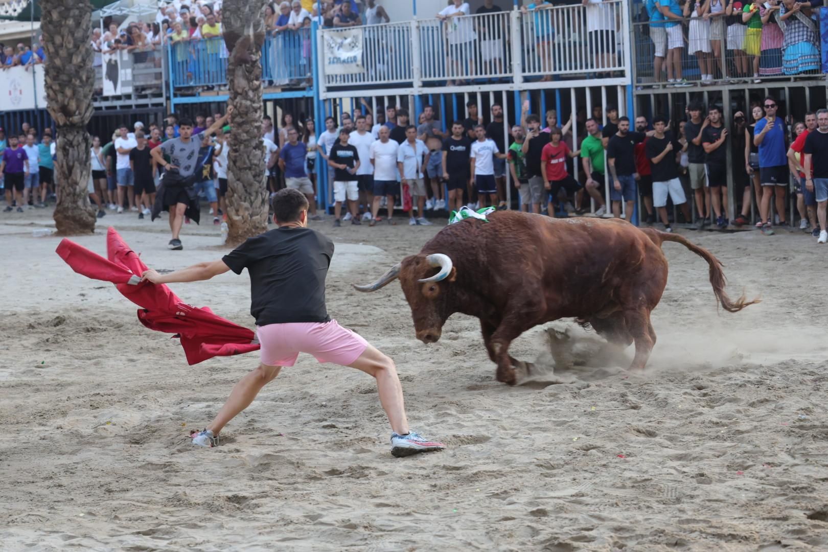 Galería | Intensa jornada taurina en Sant Pere 2025