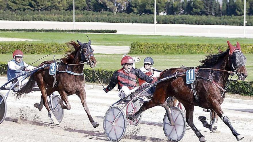 Dandy Maker SB (11), con Joan Toni Riera, aparece cerca de la meta por delante de Duran Duran y Dojo de Ladil (3).