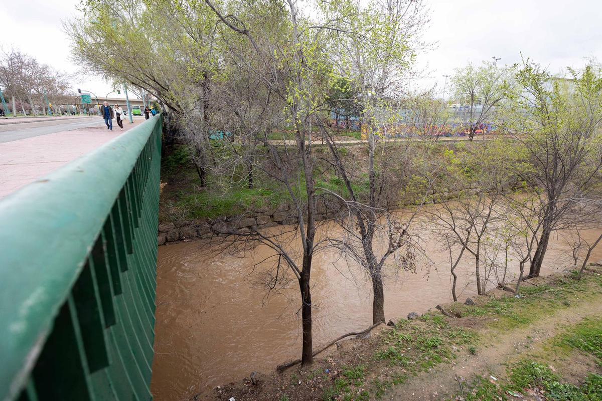 En imágenes I El río Huerva, a su paso por Zaragoza tras las últimas lluvias