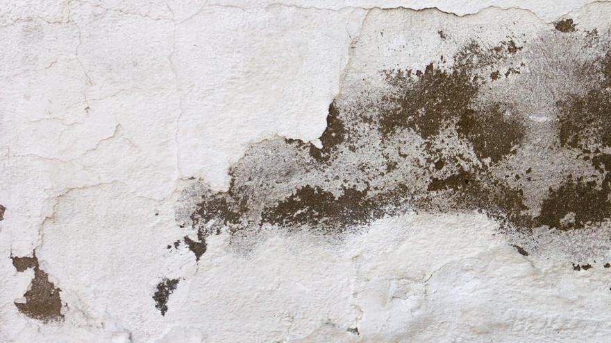 Com evitar les filtracions d’aigua en un habitatge