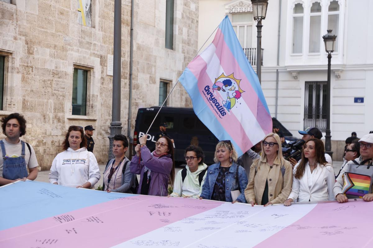 Protesta contra las enmiendas de PP y Vox a la ley trans.