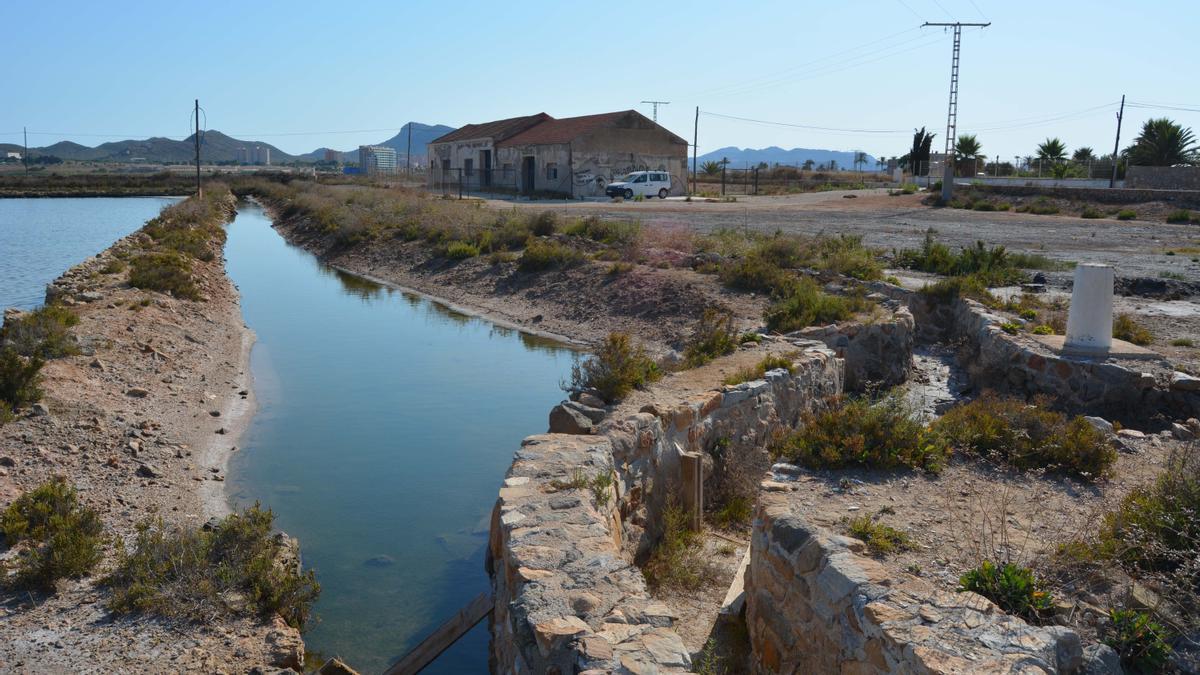 Terrenos en los que se va a desarrollar el proyecto.