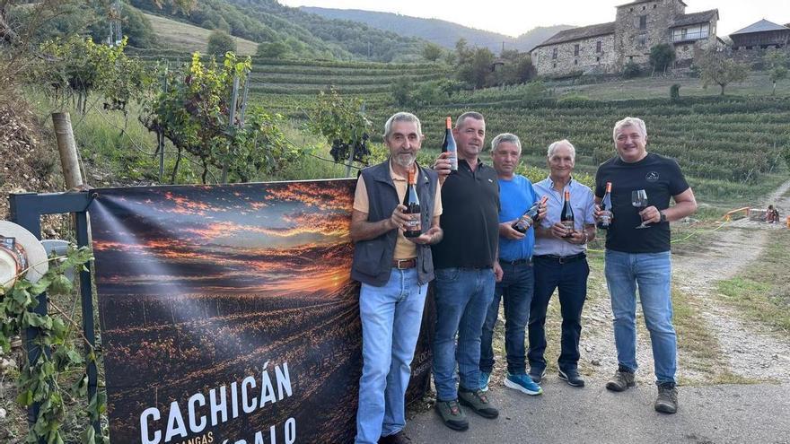 El bodeguero Lalo Méndez León homenajea a los pequeños viticultores de Ibias con un vino: “Han ayudado a transmitir la tradición vitivinícola en esta zona”