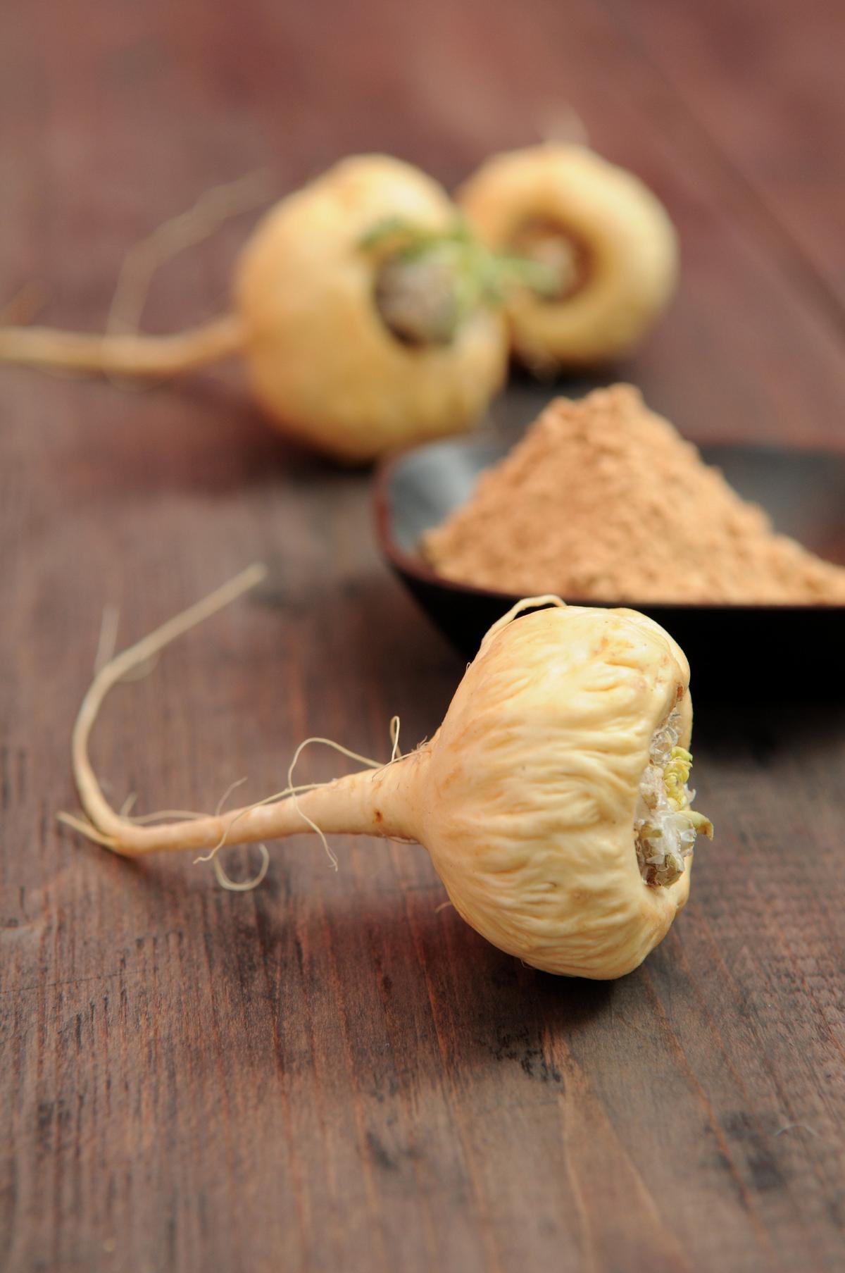 El polvo de la raíz de la maca tiene excelentes propiedades