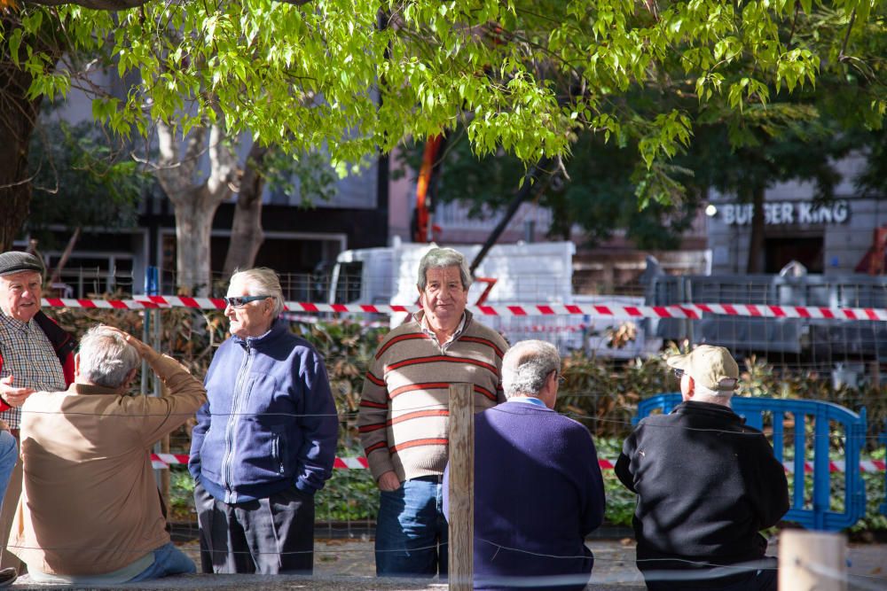 Inician la poda del ficus de la plaza España