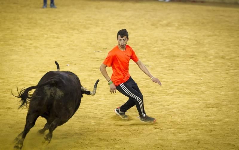 Segunda suelta de vaquillas, Lunes 12 de octubre de 2015