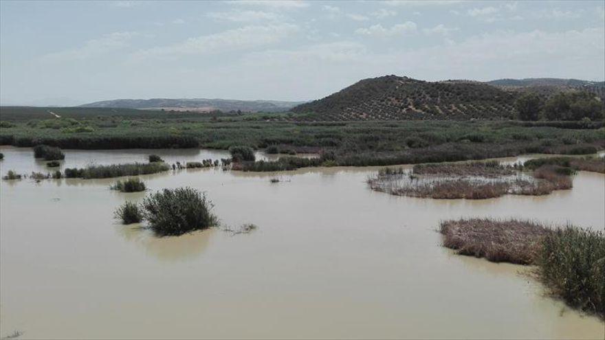 Vista del embalse de Cordobilla, en el término de Puente Genil.