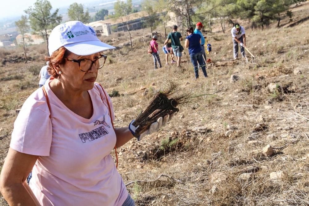 La Tercera Edad participa en la plantación de un centenar de árboles