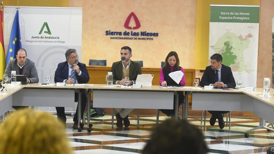 La Sierra de las Nieves tendrá un complejo internacional para estudiar los pinsapos