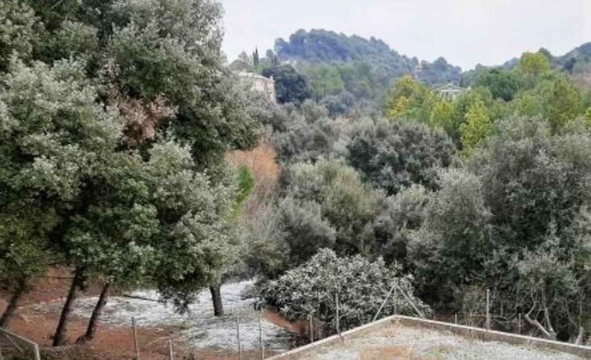 El Vallès Occidental pren precaucions davant les possibles gelades i nevades per les baixes temperatures