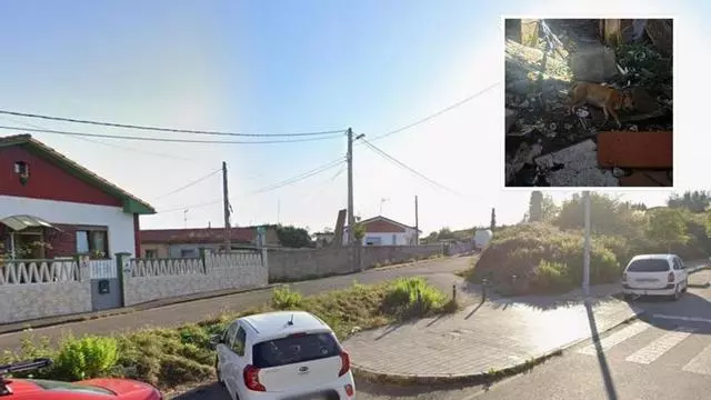 La zona de Gijón en la que han hallado un perro muerto con 10 puñaladas