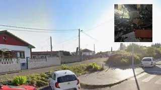 Matan de diez puñaladas a un perro junto a la avenida de El Llano en Gijón