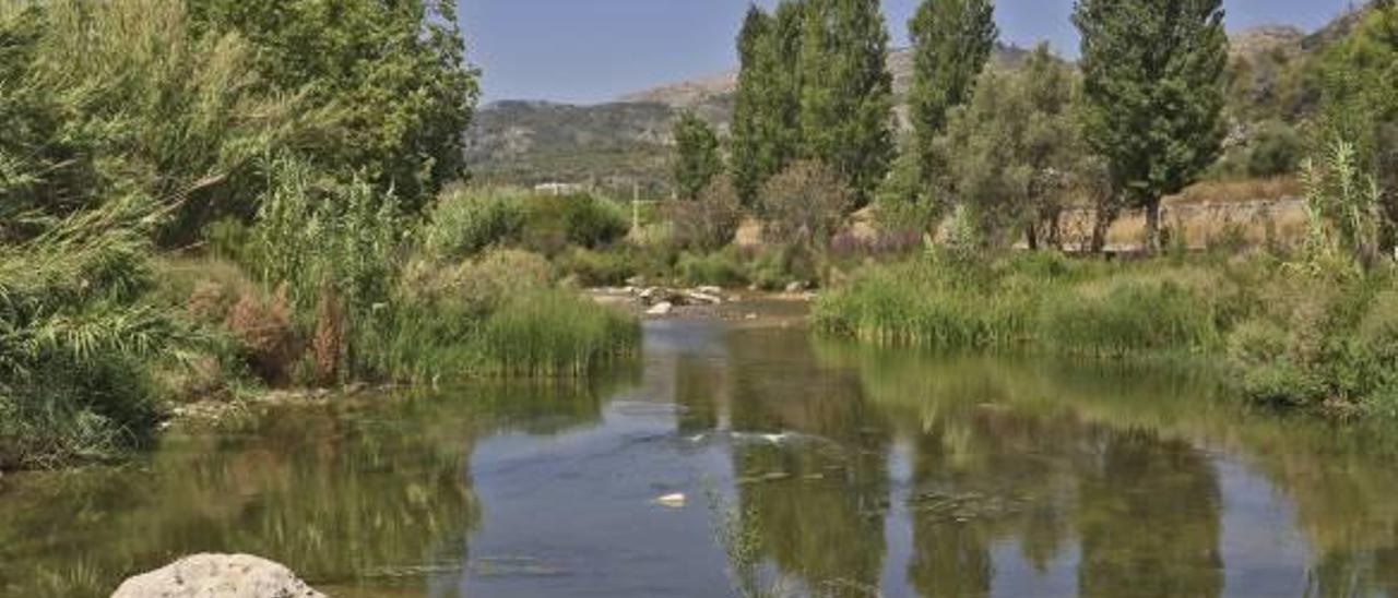 El &#039;modelo Villalonga&#039; servirá para retirar los cañares de ríos y barrancos de la Safor