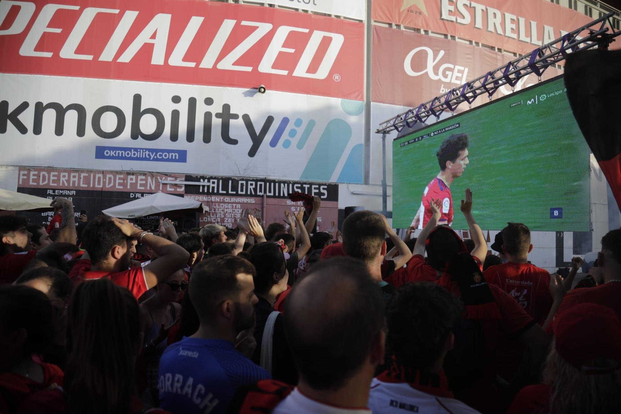 Así están viviendo el partido en el Mallorcafé