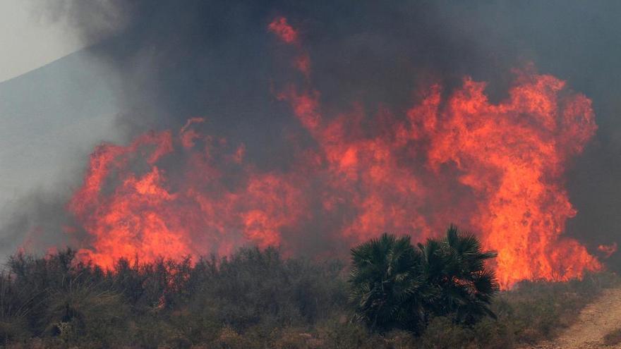 Incendio en El Gorguel y Escombreras el pasado junio.