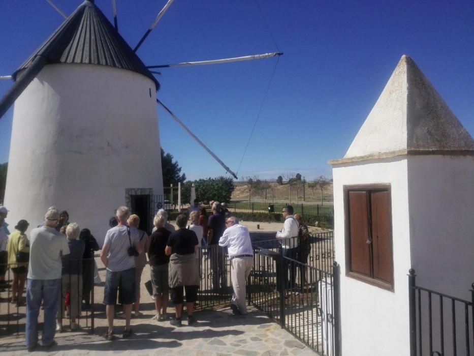 Fiesta de los Molinos en Torre Pacheco