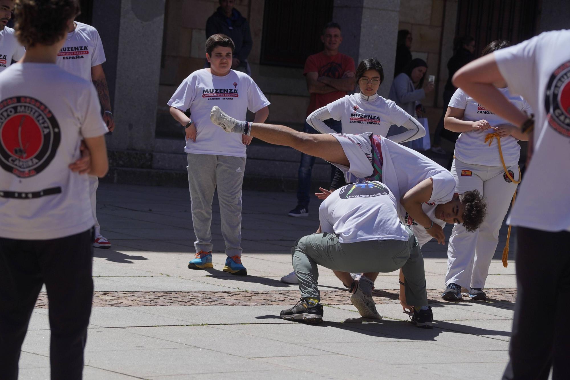 GALERIA | Exhibición de capoeira en Zamora
