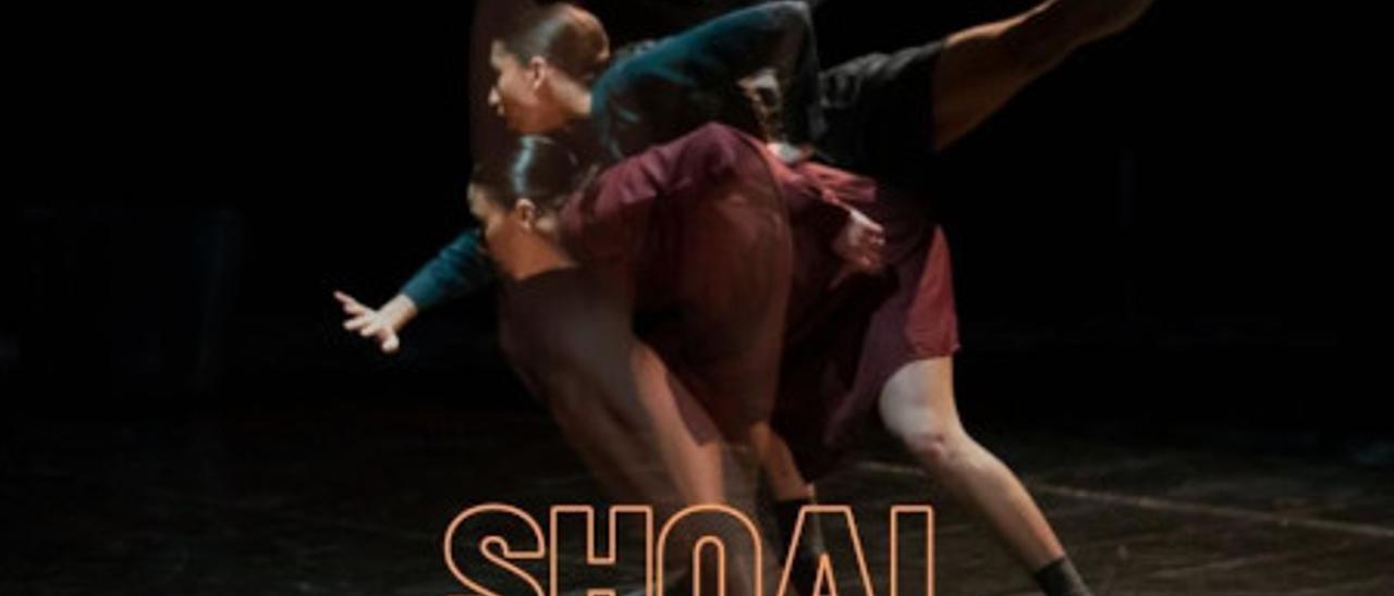 &#039;Shoal&#039;, de Dana Raz Projects