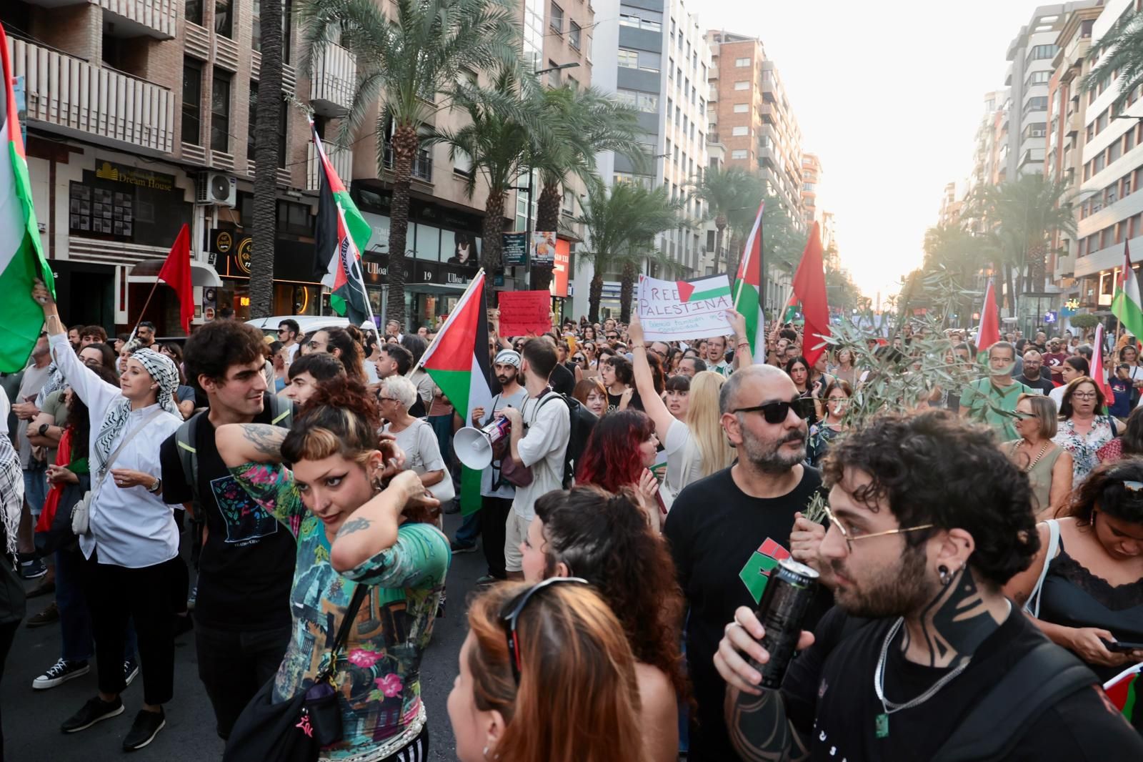 Más de 80 colectivos de Alicante se manifiestan a favor de Palestina