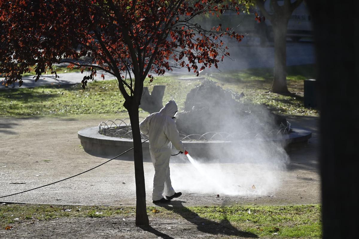 Un operario del Ayuntamiento de Zaragoza realiza labores de limpieza en el Parque Bruil, en una imagen de archivo.