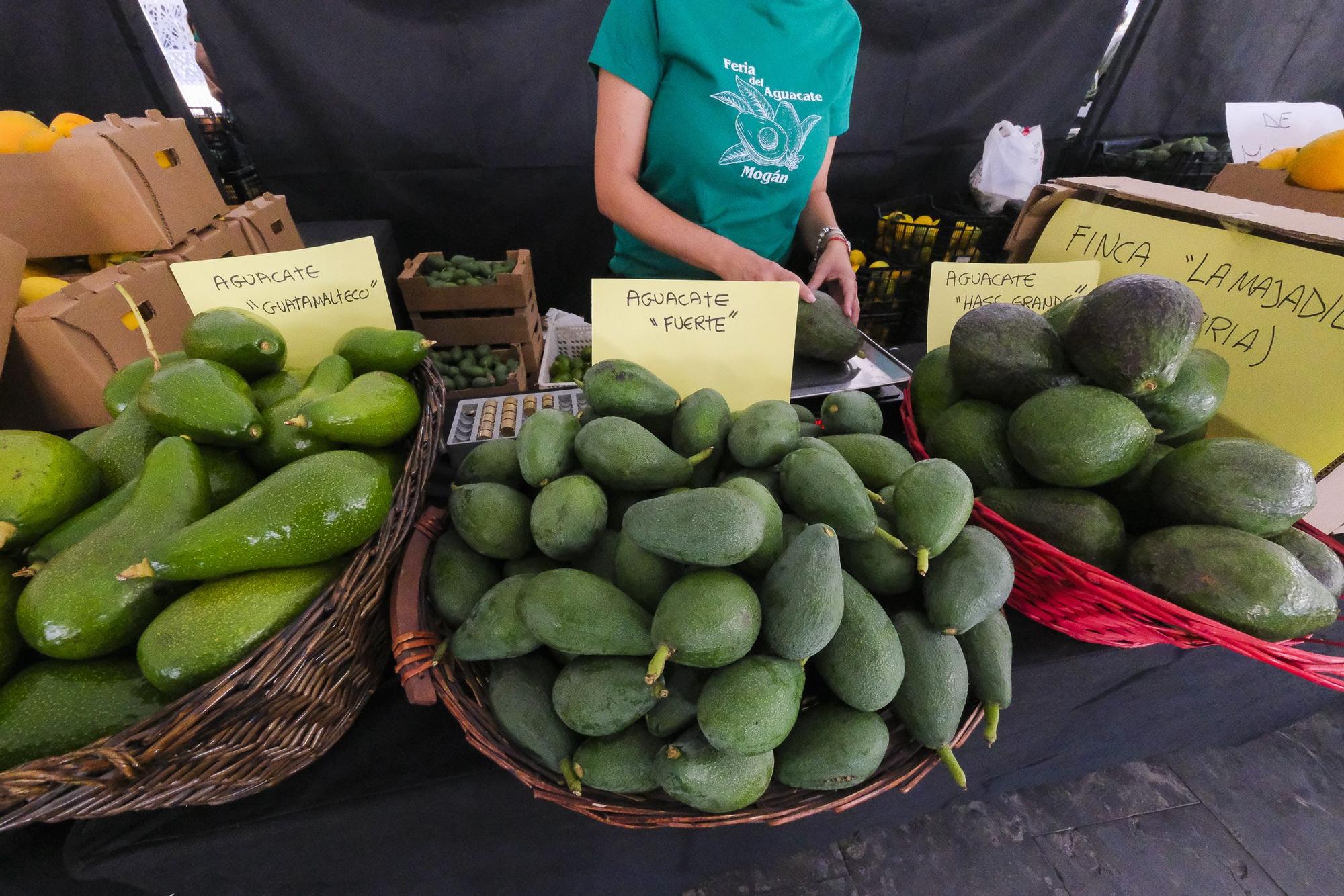04-11-2024 MOGÁN. IX Feria del Aguacate de Mogán, en Arguineguín  | 01/12/2024 | Fotógrafo: Andrés Cruz
