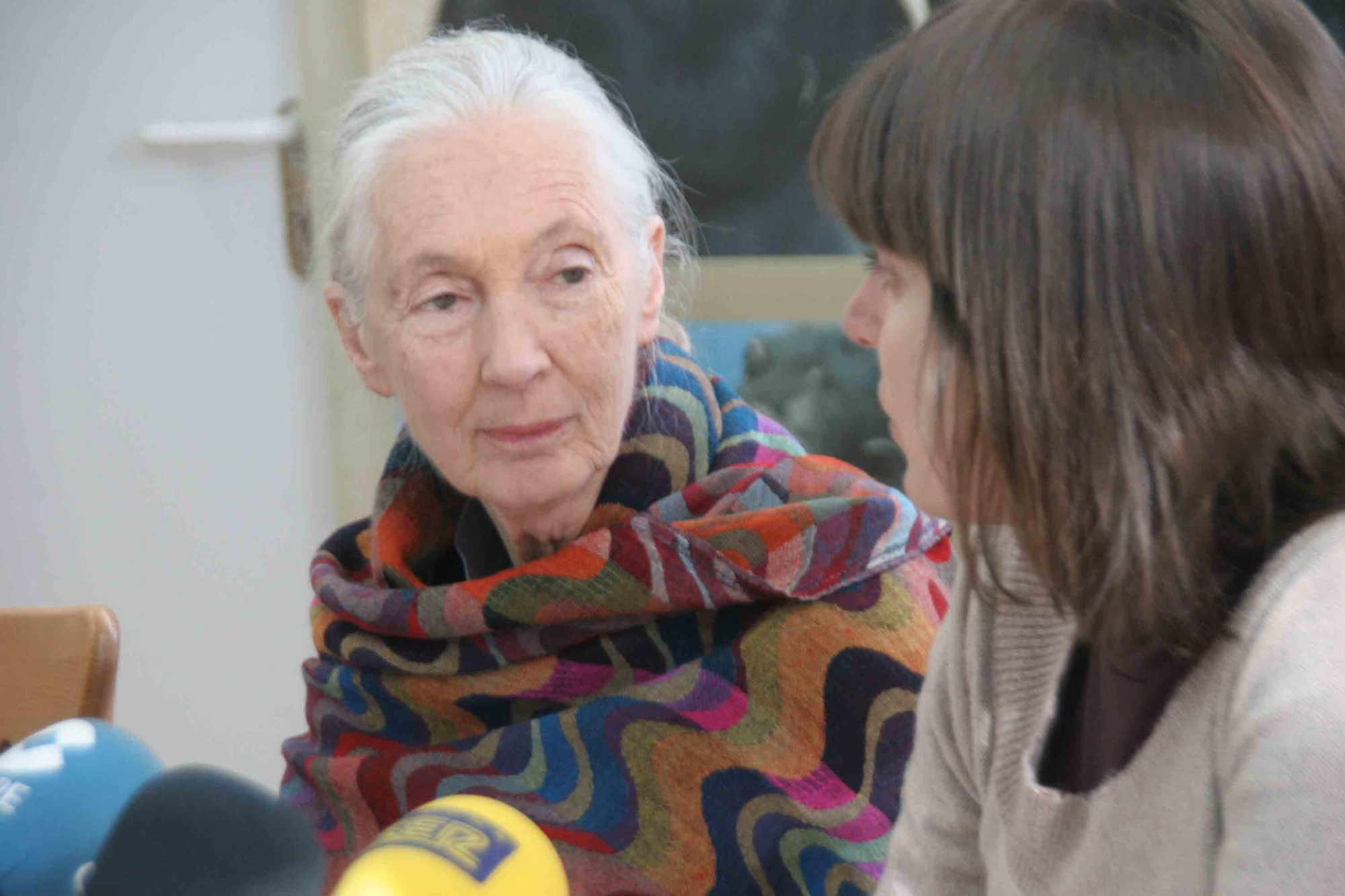 Fallece Jane Goodall, madrina de Primadomus y ‘honoris causa’ por la Universidad de Alicante