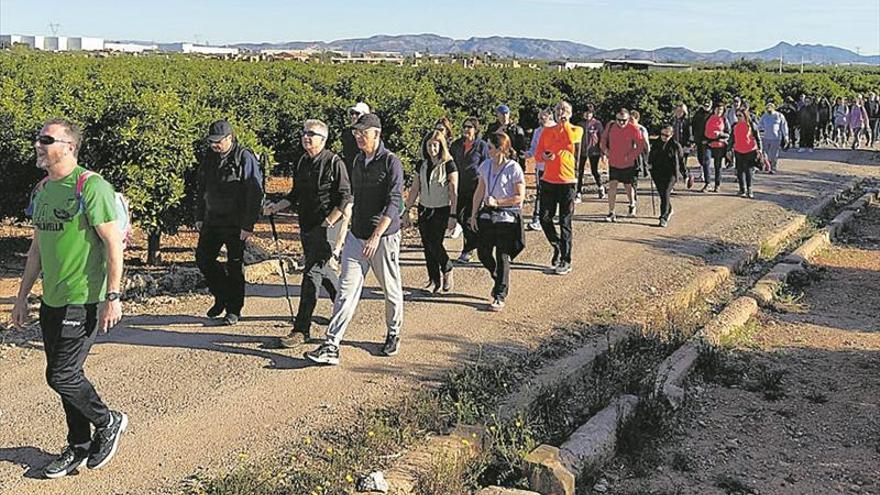 De ruta para conocer la huerta y el secano