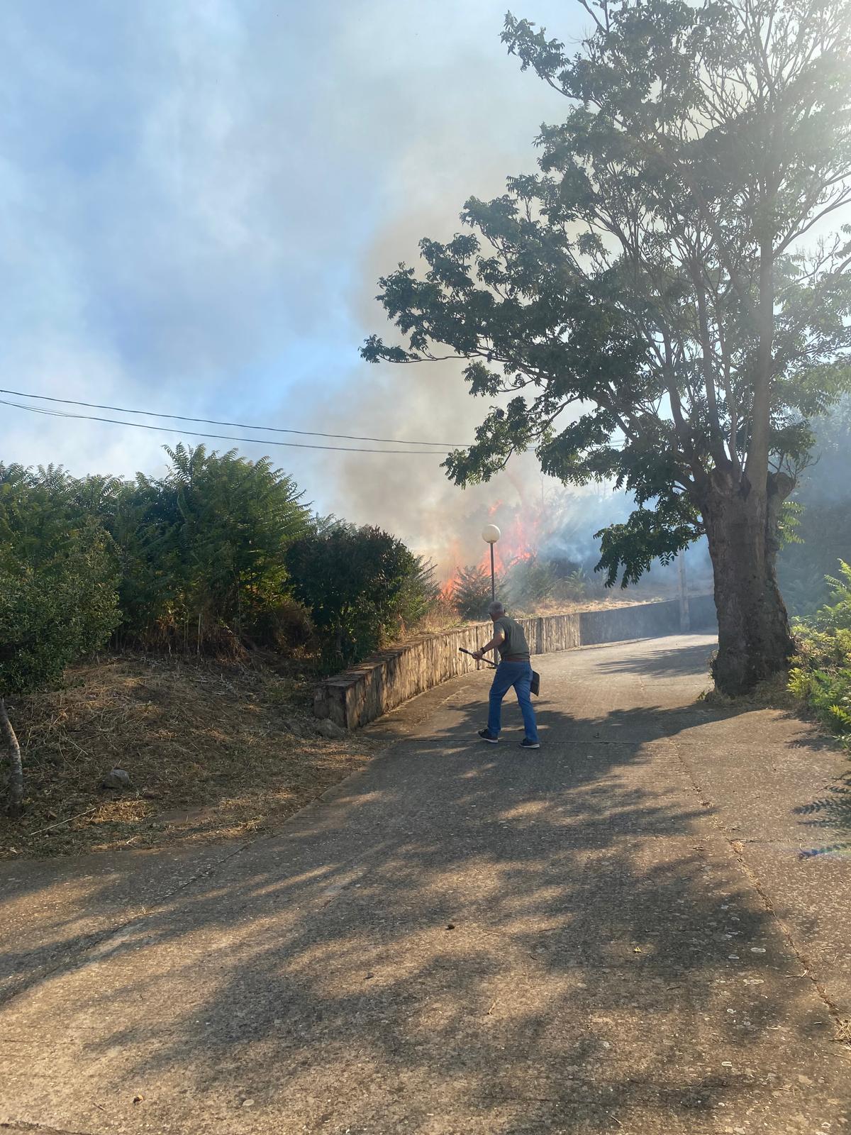 GALERÍA| Así se ha luchado contra el fuego en Cunquilla de Vidriales