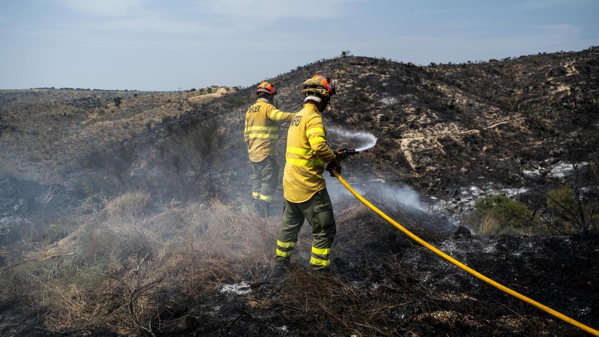 CACERES. INCENDIO FORESTAL GARROVILLAS DE ALCONETAR. INFOEX. OLA DE CALOR