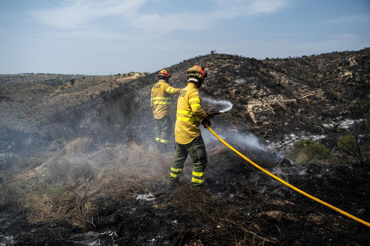 Eferctivos del Infoex sofocan un incendio forestal en Garrovillas de Alconétar, el pasado verano.