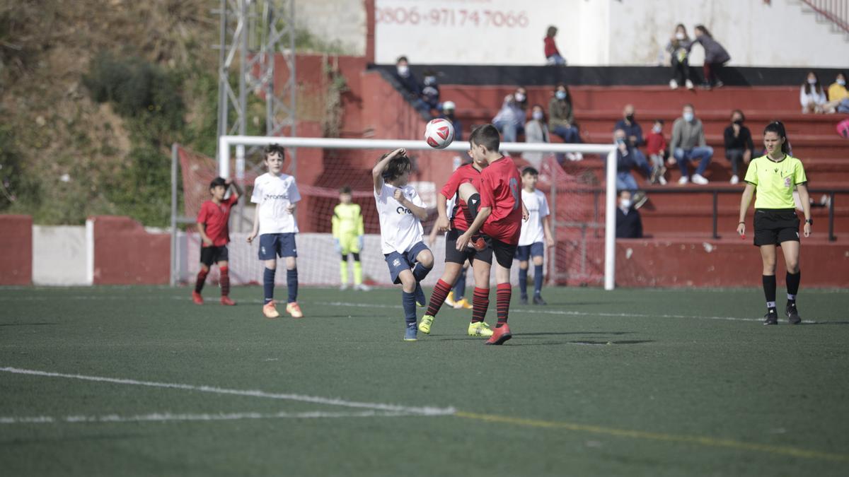 Penya Arrabal-Madre Alberta de benjamines